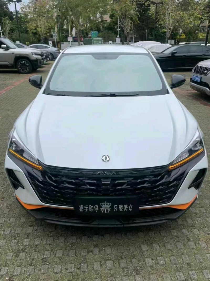 深圳24年东风奕炫1