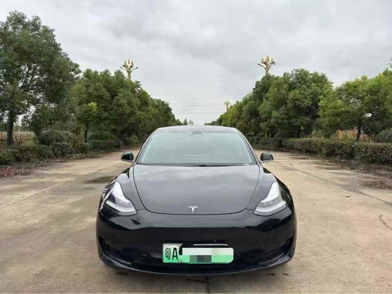 徐州20年特斯拉MODEL 31