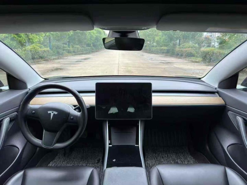 徐州20年特斯拉MODEL 37