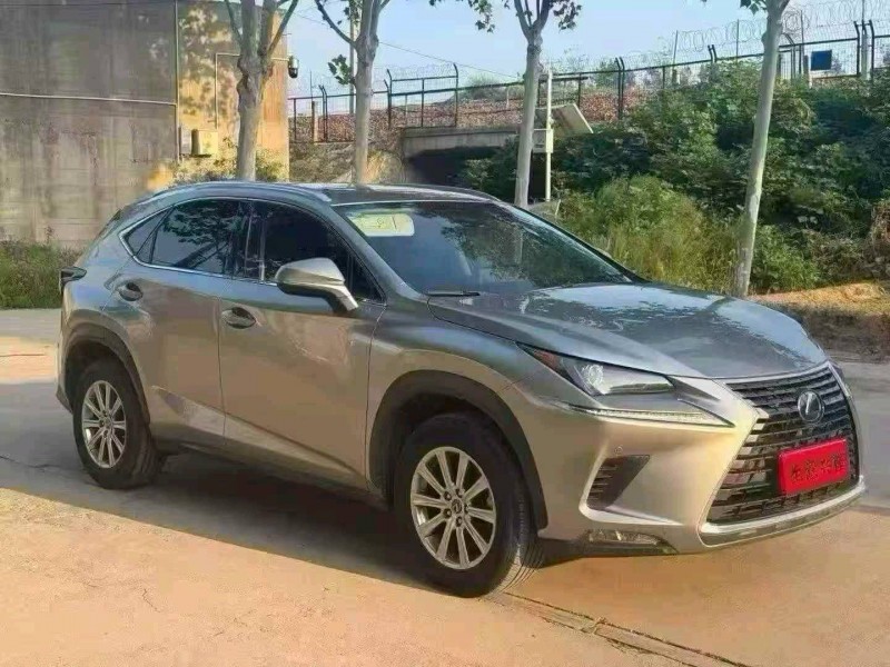 开封19年雷克萨斯NX2