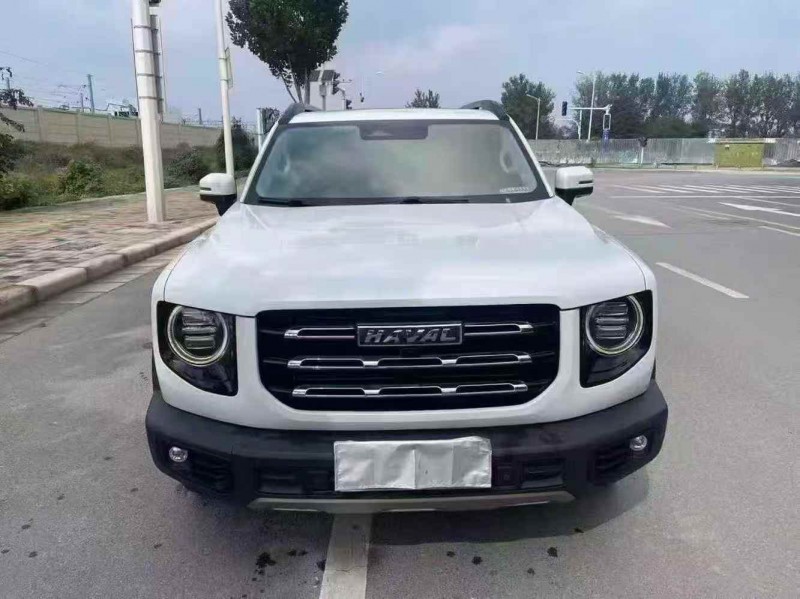 平顶山22年哈弗大狗1