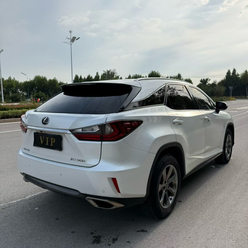 枣庄19年雷克萨斯RX9