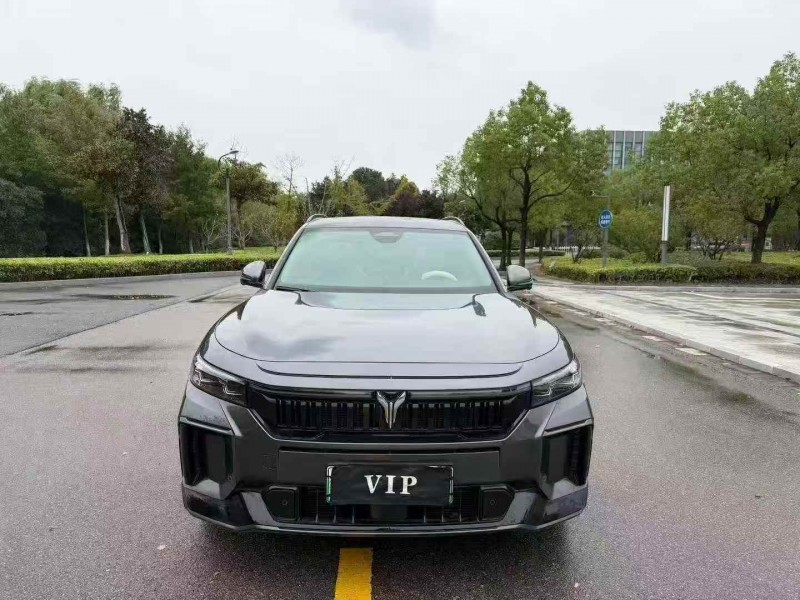 常州24年岚图汽车FREE1