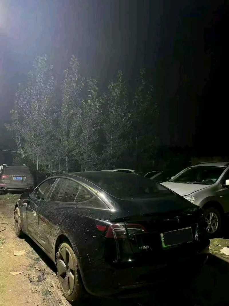 滨州23年特斯拉MODEL 36