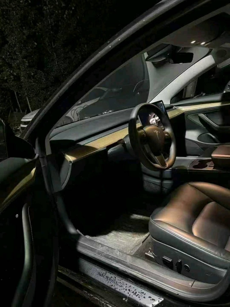 滨州23年特斯拉MODEL 38