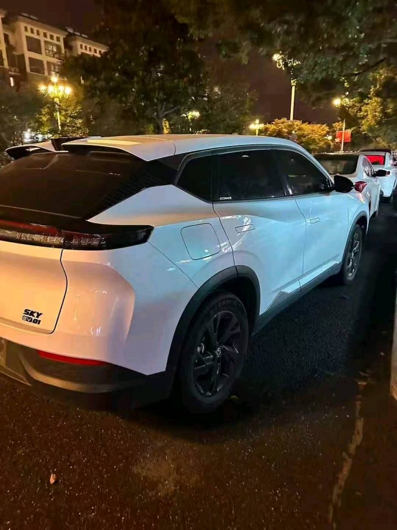 滨州24年东风风神6