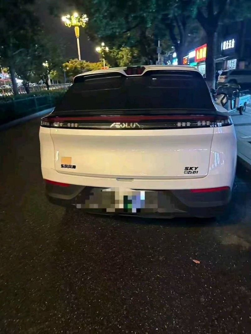 滨州24年东风风神8