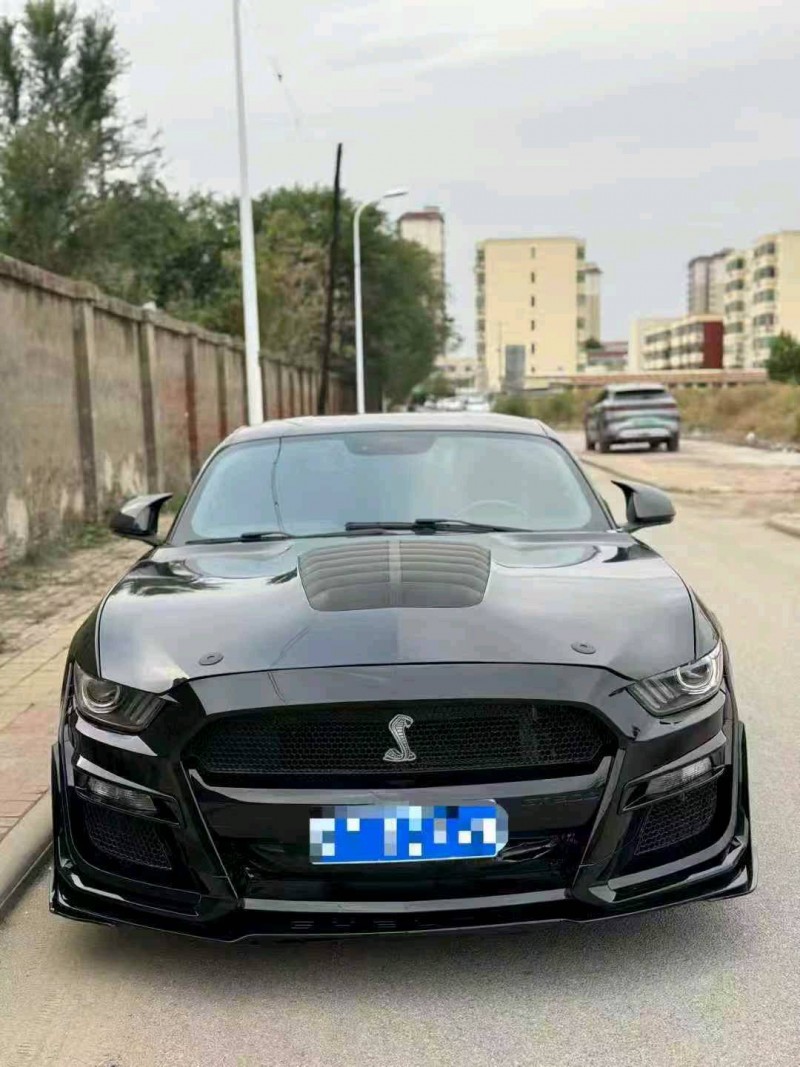 滨州17年福特野马1