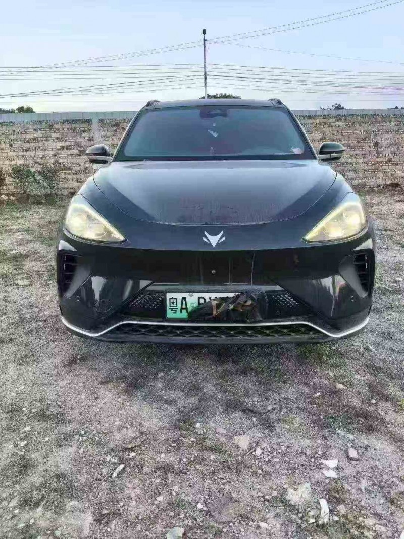 韶关23年极狐汽车阿尔法1