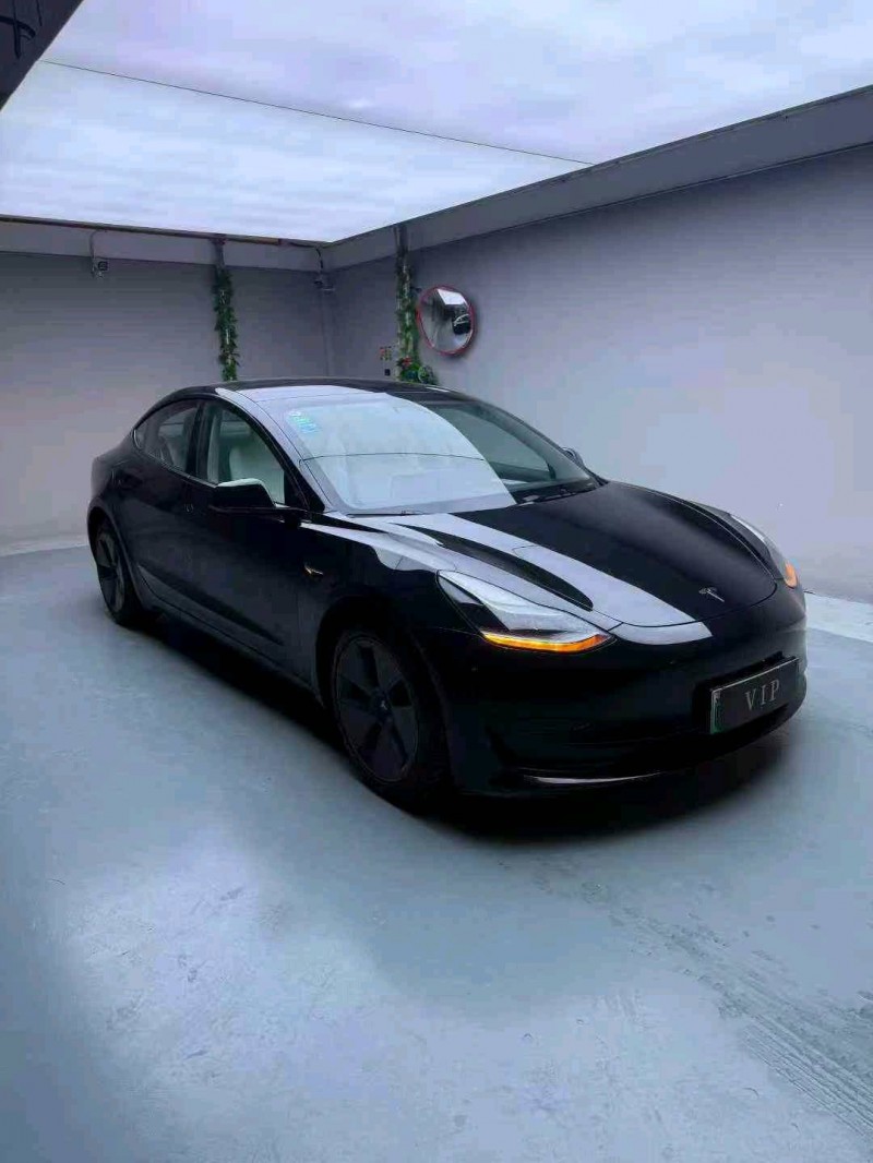 东莞22年特斯拉MODEL 33