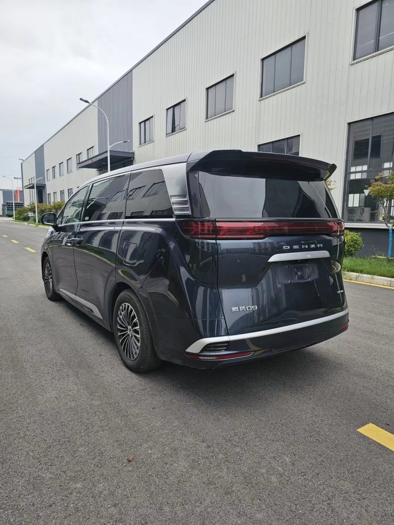 徐州22年腾势D97