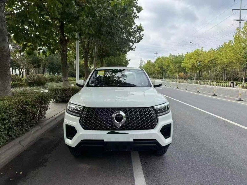 烟台25年长城汽车炮 皮卡1