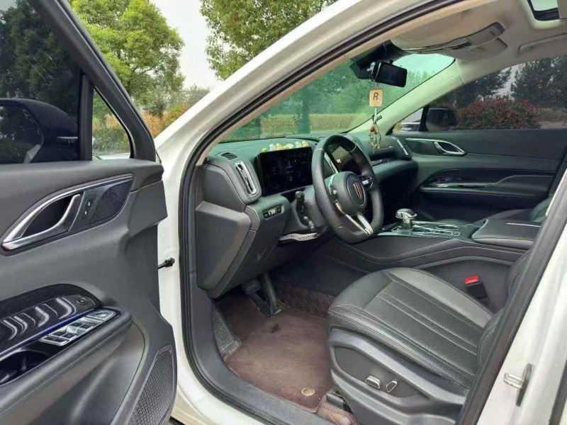 徐州24年红旗HS34