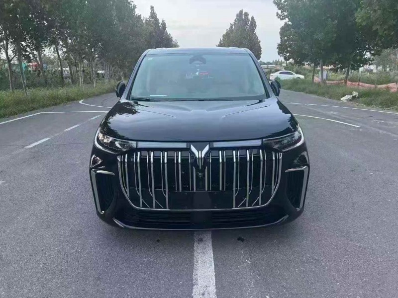 潍坊23年岚图汽车梦想家1