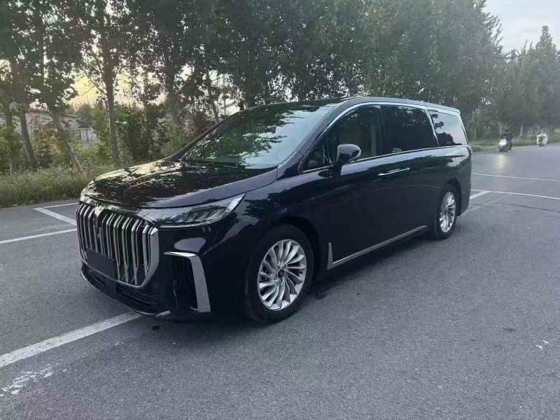 潍坊23年岚图汽车梦想家3