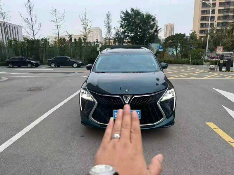 枣庄24年东风风行1