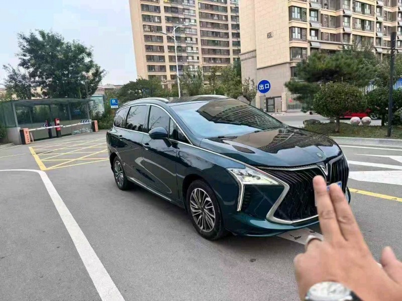 枣庄24年东风风行3