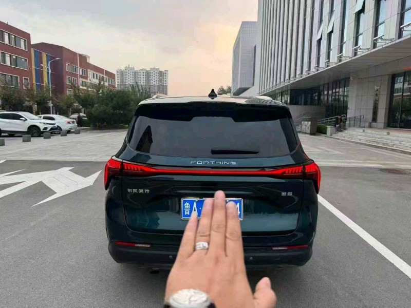 枣庄24年东风风行8