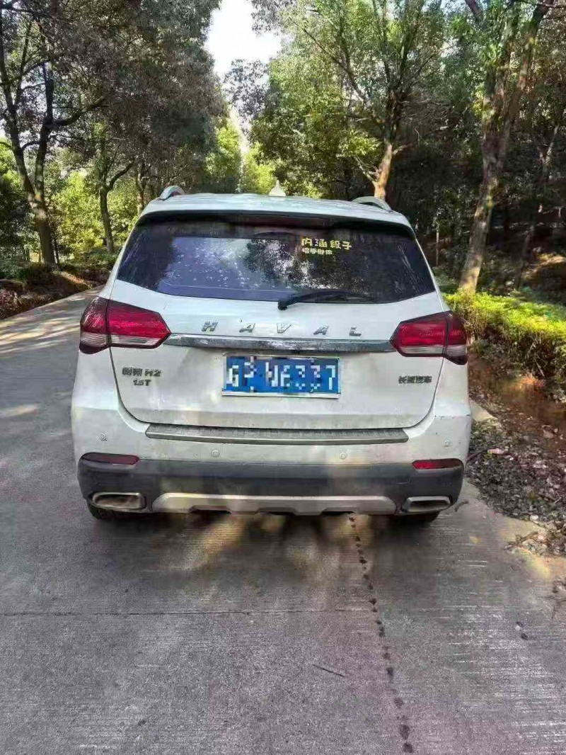 蚌埠17年哈弗H29