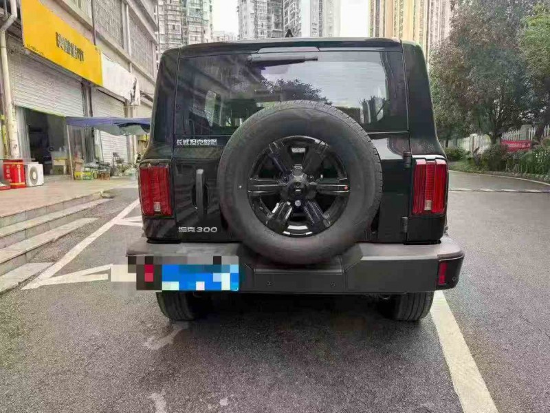 重庆25年长城汽车坦克9