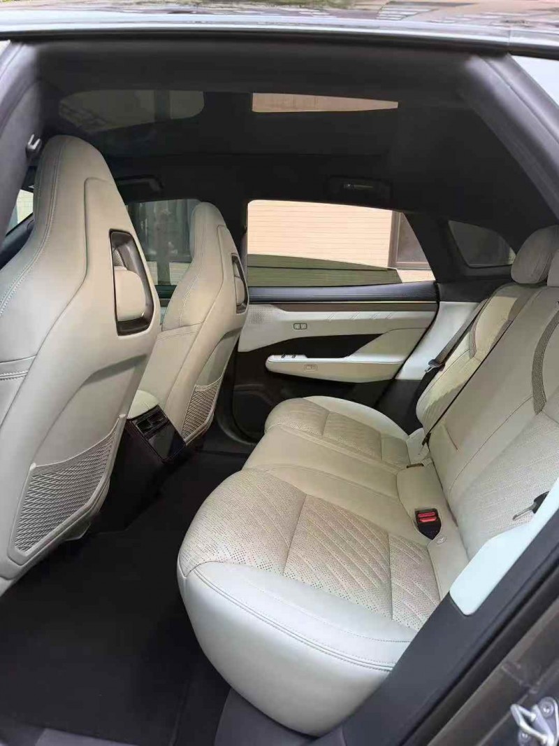 佛山24年极氪汽车0015