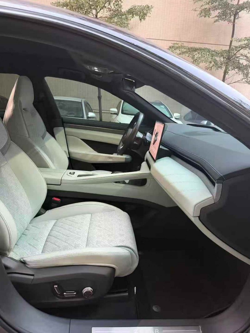 佛山24年极氪汽车0017