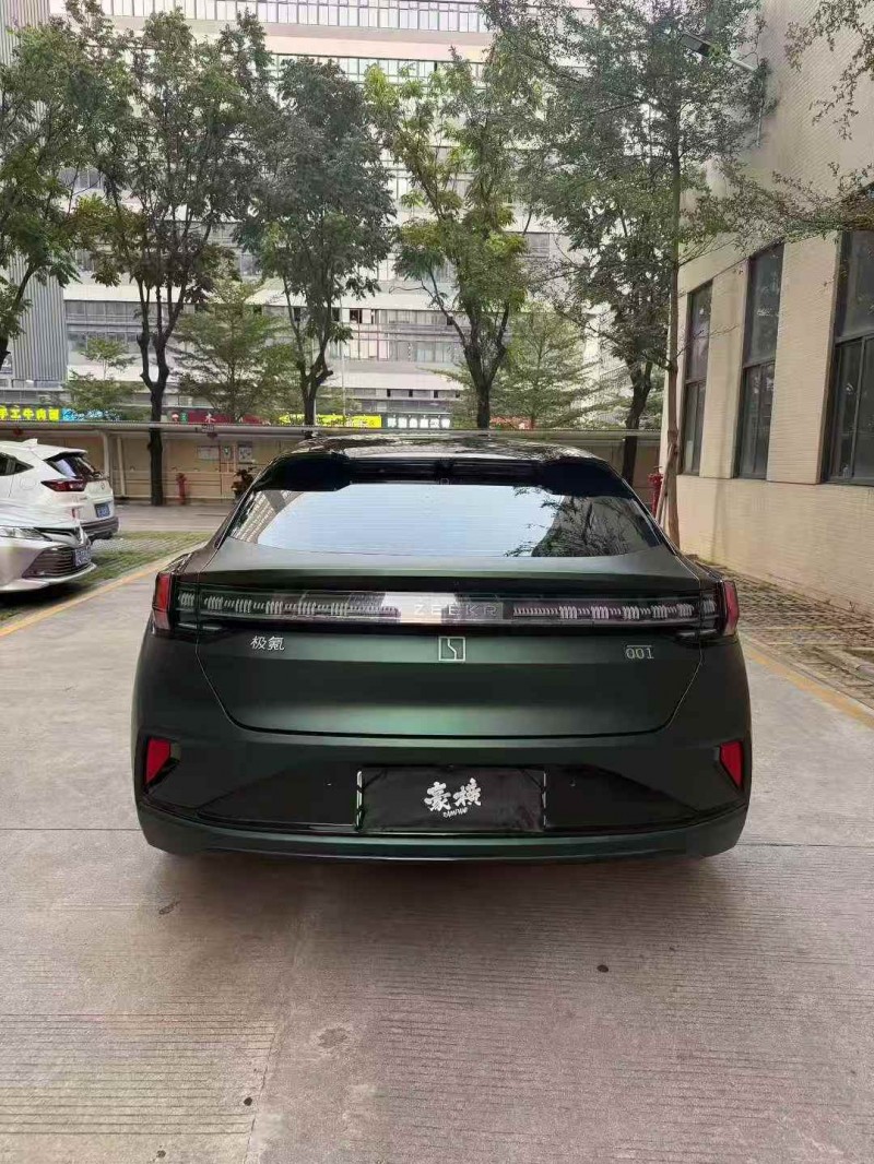 佛山24年极氪汽车0019