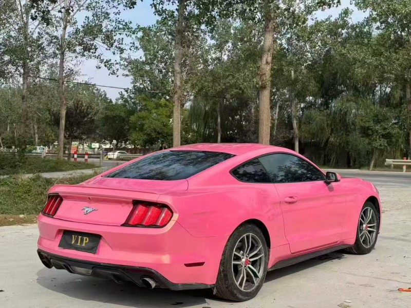 菏泽16年福特野马8