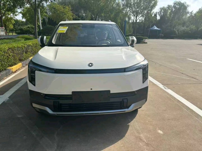 潍坊25年东风纳米1