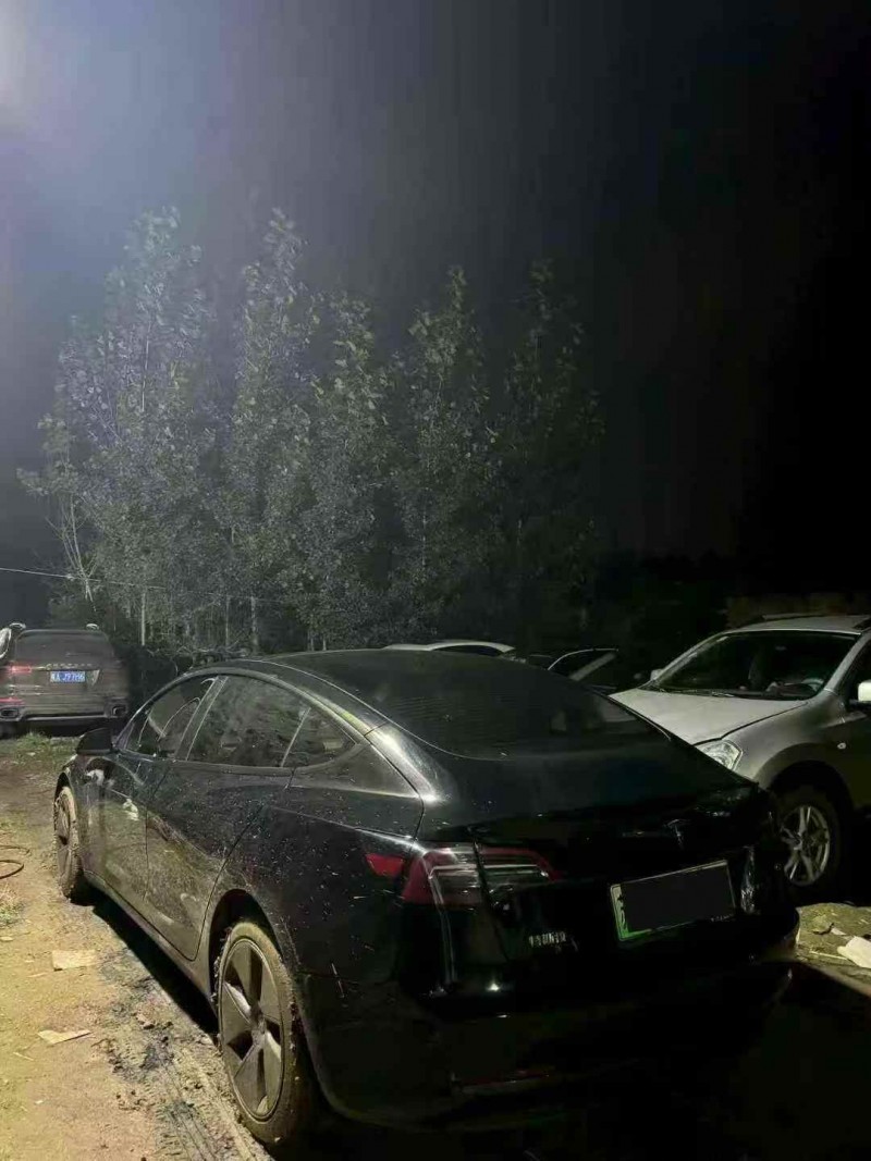 日照23年特斯拉MODEL 37