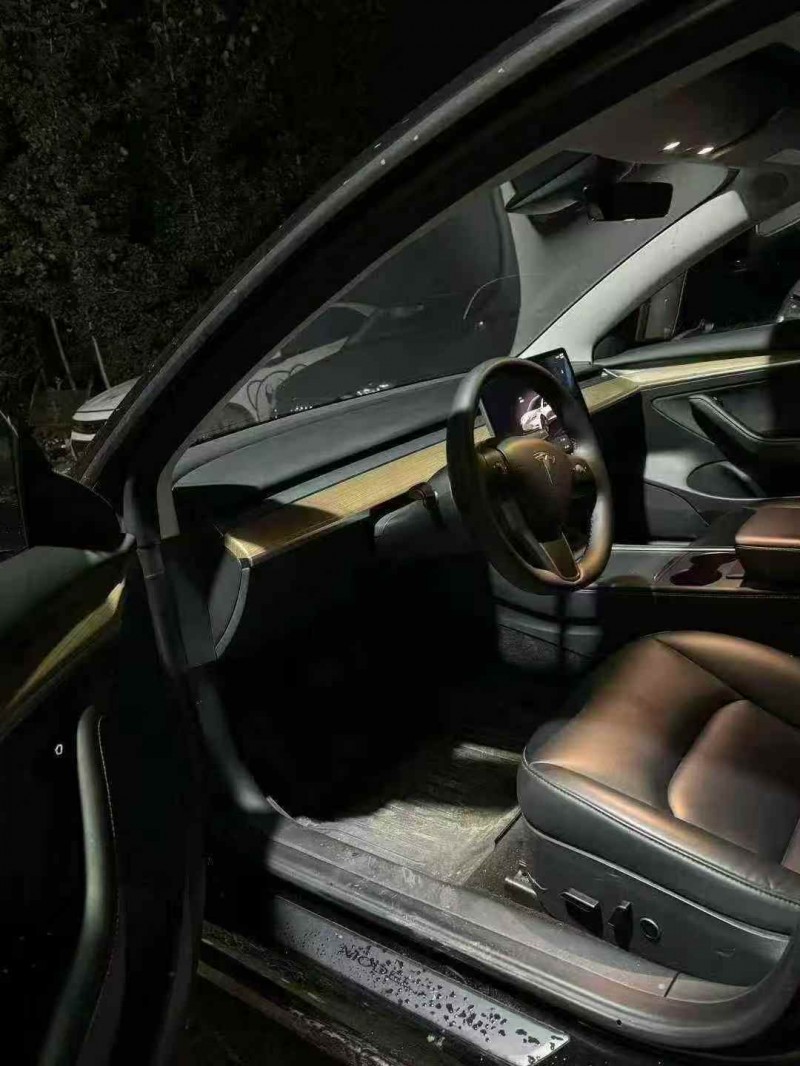 日照23年特斯拉MODEL 38