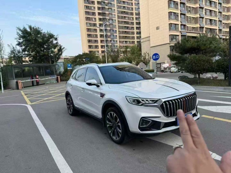 潍坊21年红旗HS52