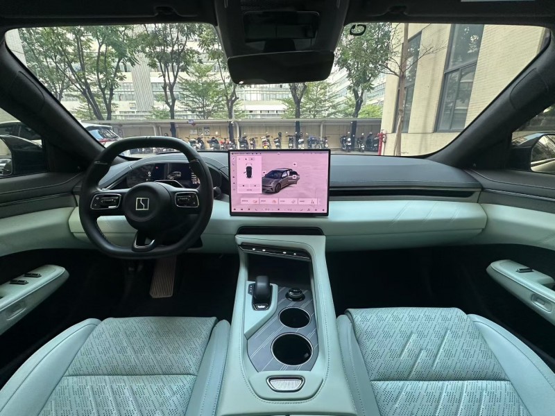 佛山24年极氪汽车0018