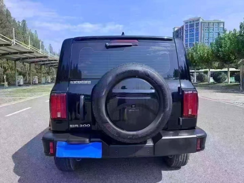 徐州25年长城汽车坦克9