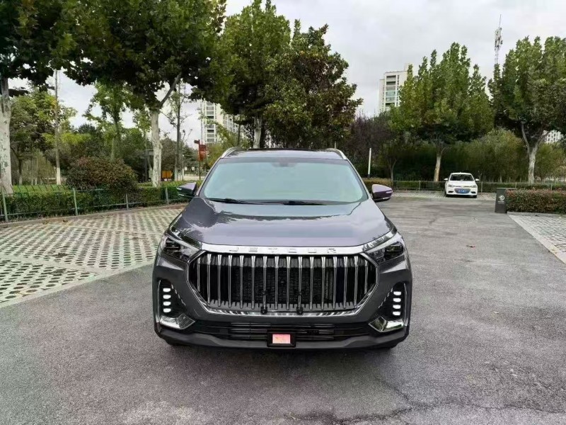 徐州24年奇瑞捷途1