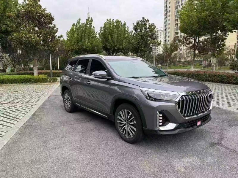 徐州24年奇瑞捷途2