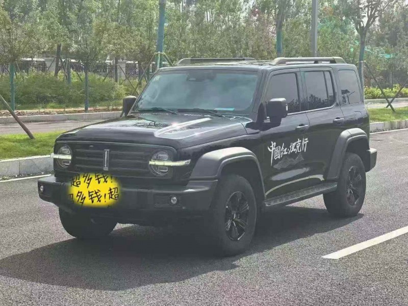 潍坊20年长城汽车坦克2