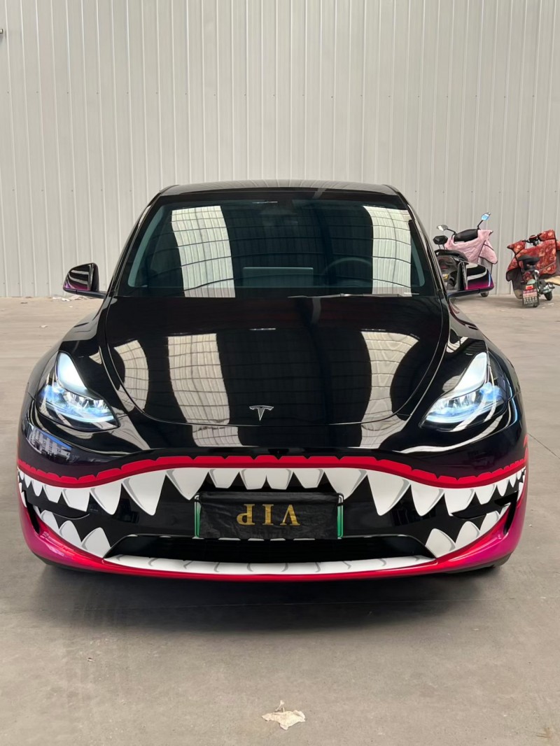 徐州24年特斯拉MODEL Y1