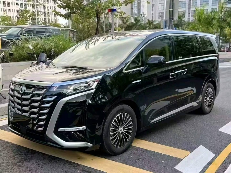 广州25年腾势D93