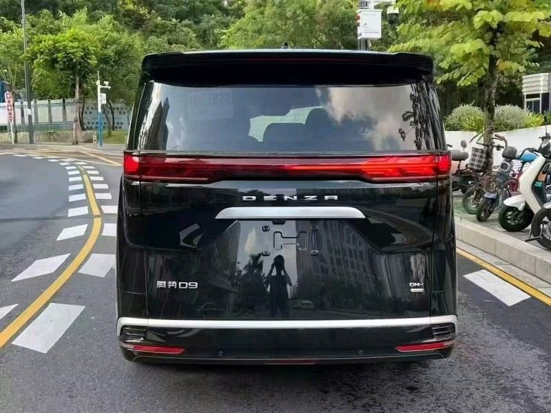 广州25年腾势D99