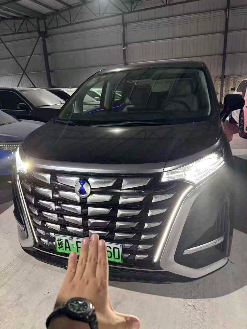 石家庄24年腾势D91