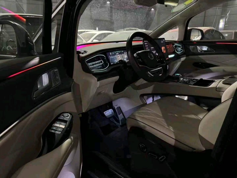 石家庄24年腾势D92