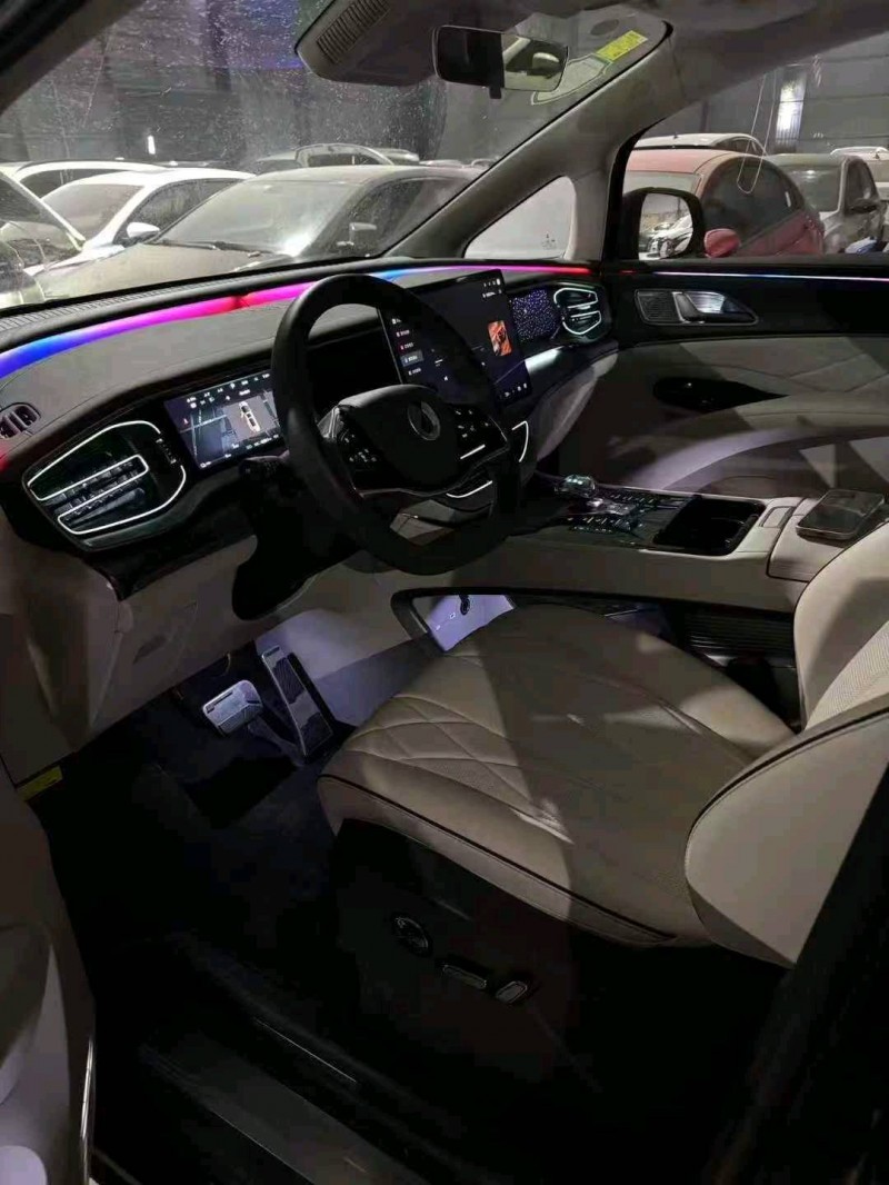 石家庄24年腾势D94