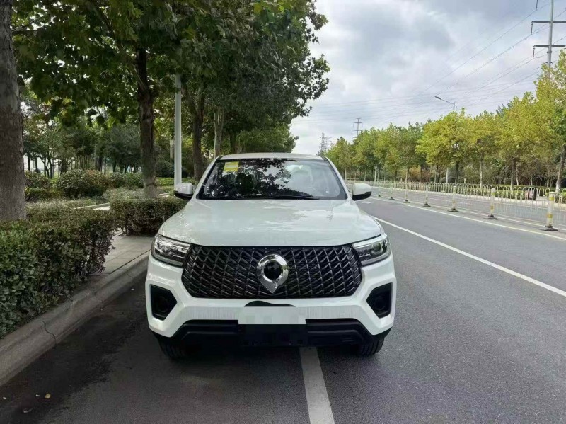 枣庄25年长城汽车炮 皮卡1