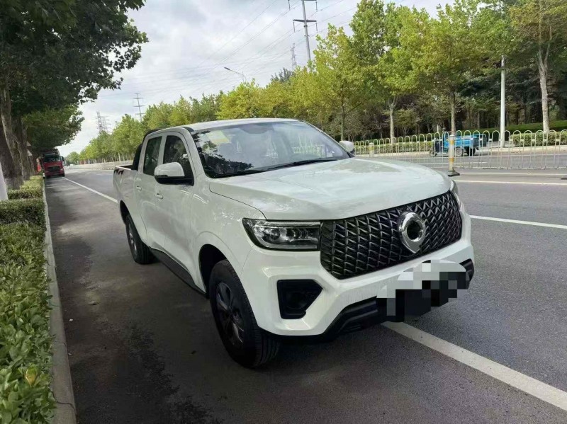 枣庄25年长城汽车炮 皮卡2