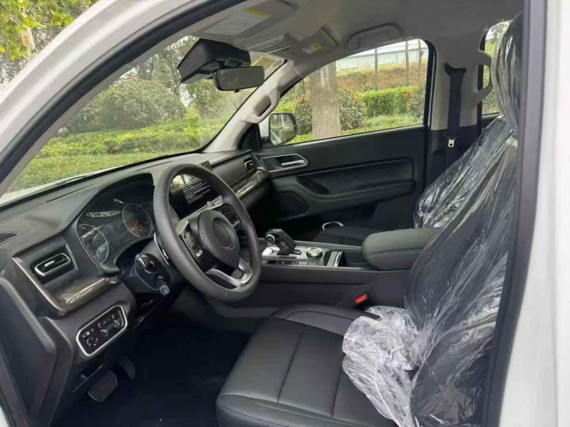 枣庄25年长城汽车炮 皮卡5