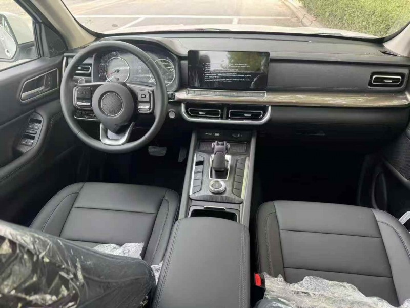 枣庄25年长城汽车炮 皮卡6