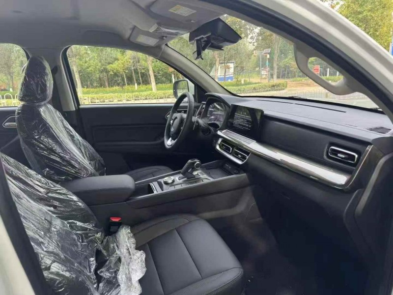 枣庄25年长城汽车炮 皮卡7