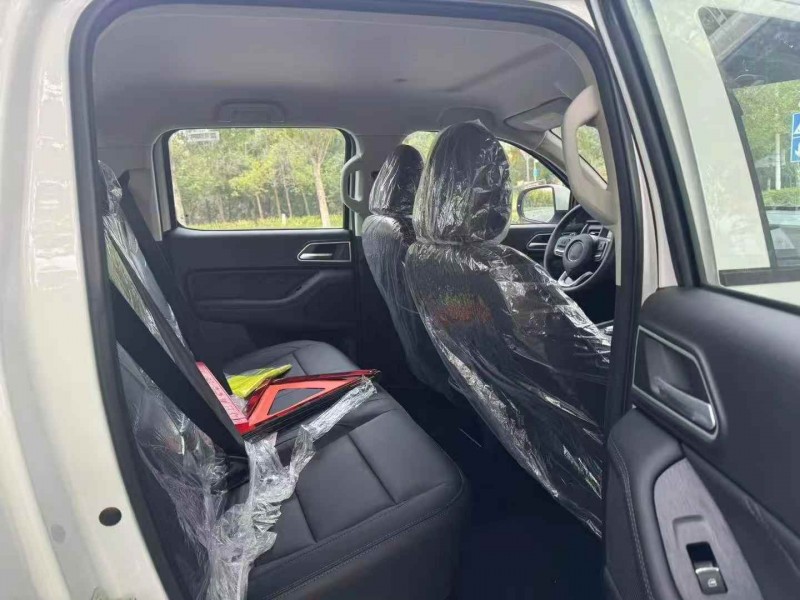 枣庄25年长城汽车炮 皮卡8