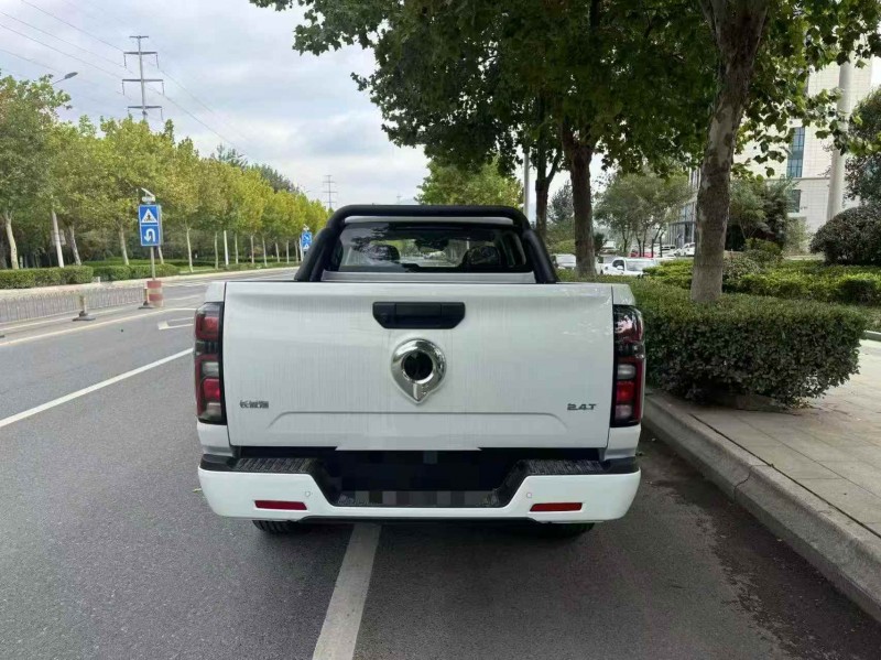 枣庄25年长城汽车炮 皮卡9